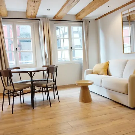 Apartment Les Cigognes De - Centre & Garage Velo Barr