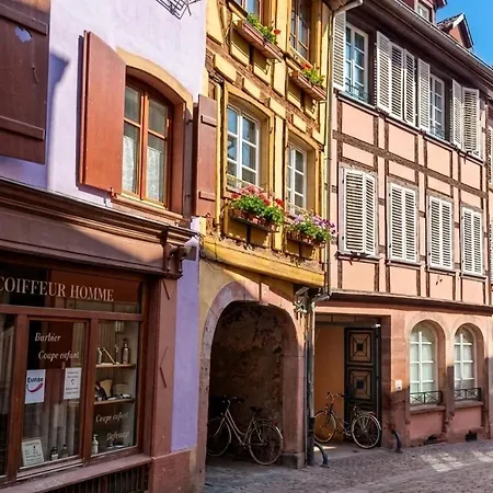 Appartement Les Cigognes De - Centre Ville&garage Vélo Barr