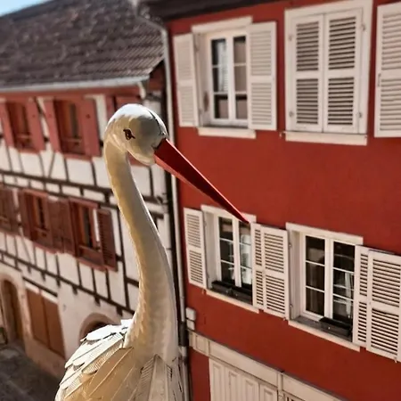 Διαμέρισμα Le Nid Du Storich Parking Prive Au Coeur De Barr